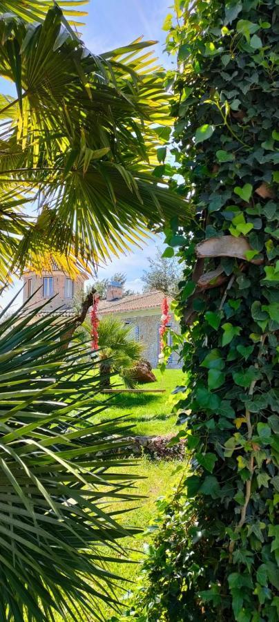 Quinta Do Bamby Villa Leiria Buitenkant foto