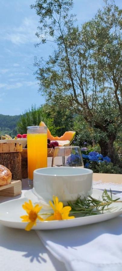 Quinta Do Bamby Villa Leiria Buitenkant foto