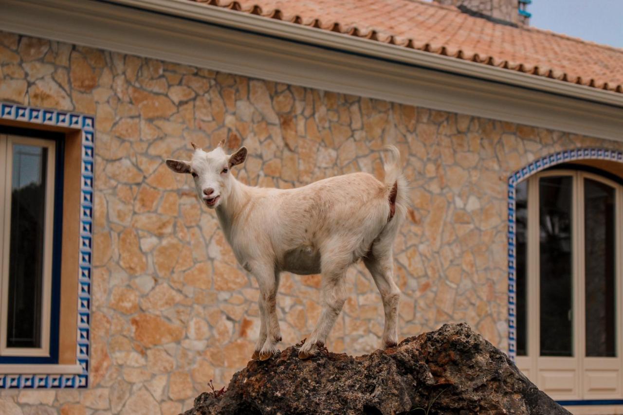 Quinta Do Bamby Villa Leiria Buitenkant foto